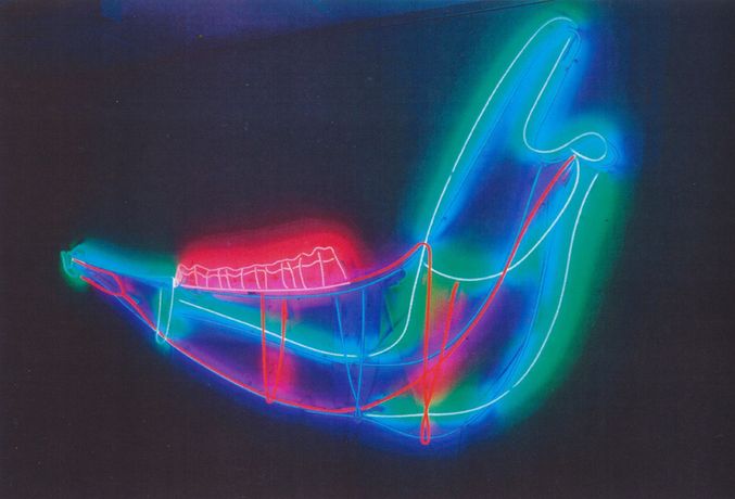 Martin Sims《Our Studio Is In Our Head》:雕塑与感知的边界探索