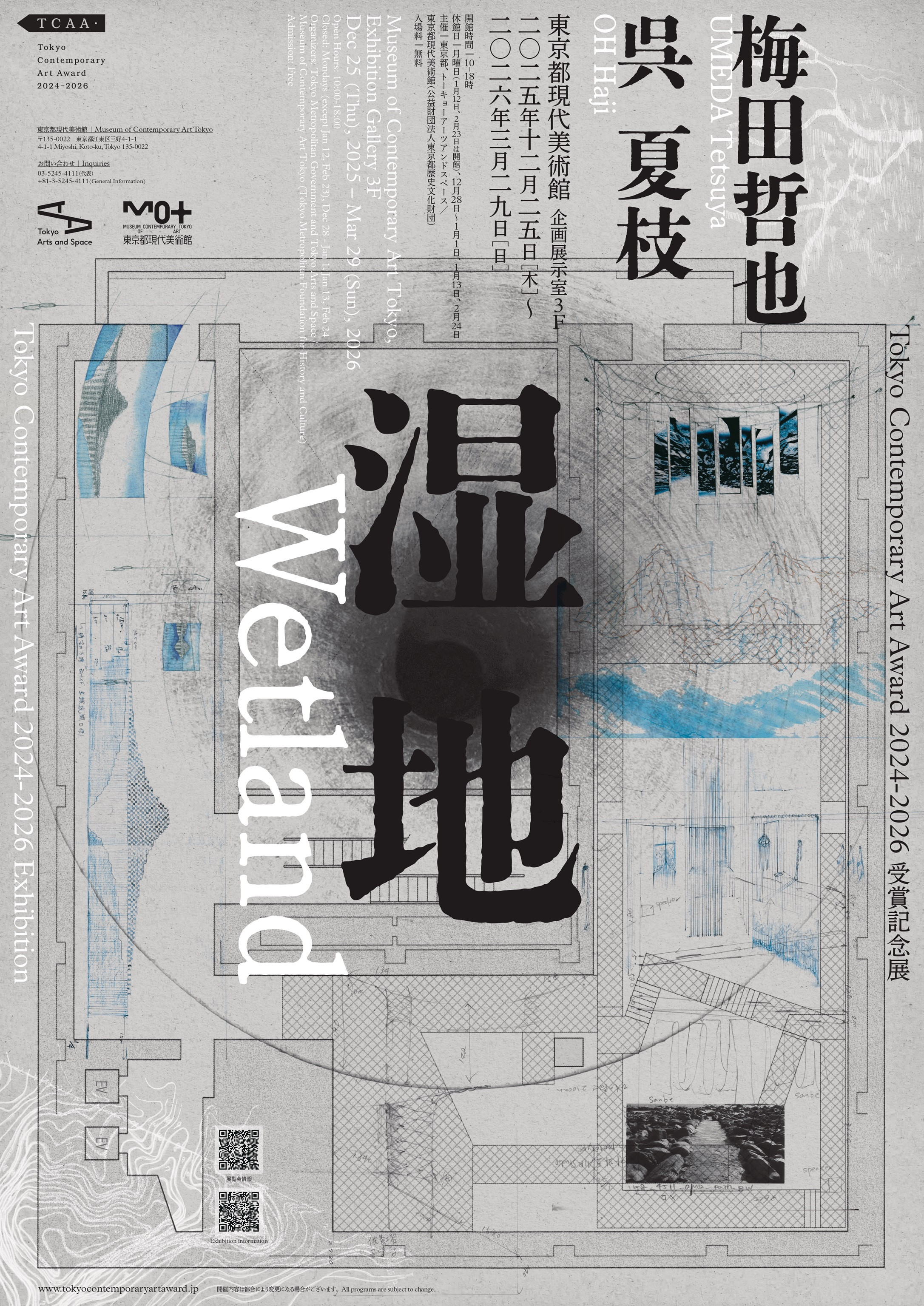 Tokyo Contemporary Art Award 2024-2026 受賞記念展「湿地」:两位中坚艺术家以“湿地”为主题的探索