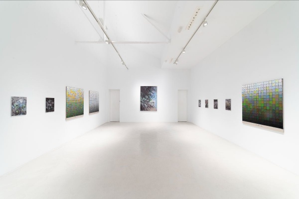 El Tiempo Suspendido：Stijn Cole用艺术定格时间