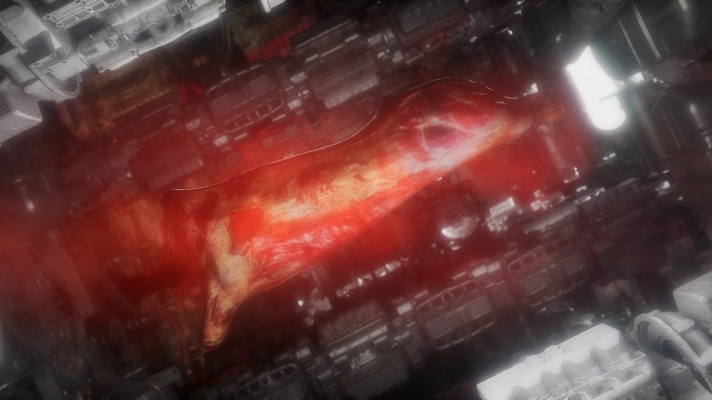 Priyageetha Dia《Kokki》：身体、机械与拒绝的诗学探索