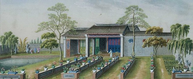 18世纪中英植物学交流 《交流的种子：18世纪的广州与伦敦》：跨越时空的科学与文化碰撞