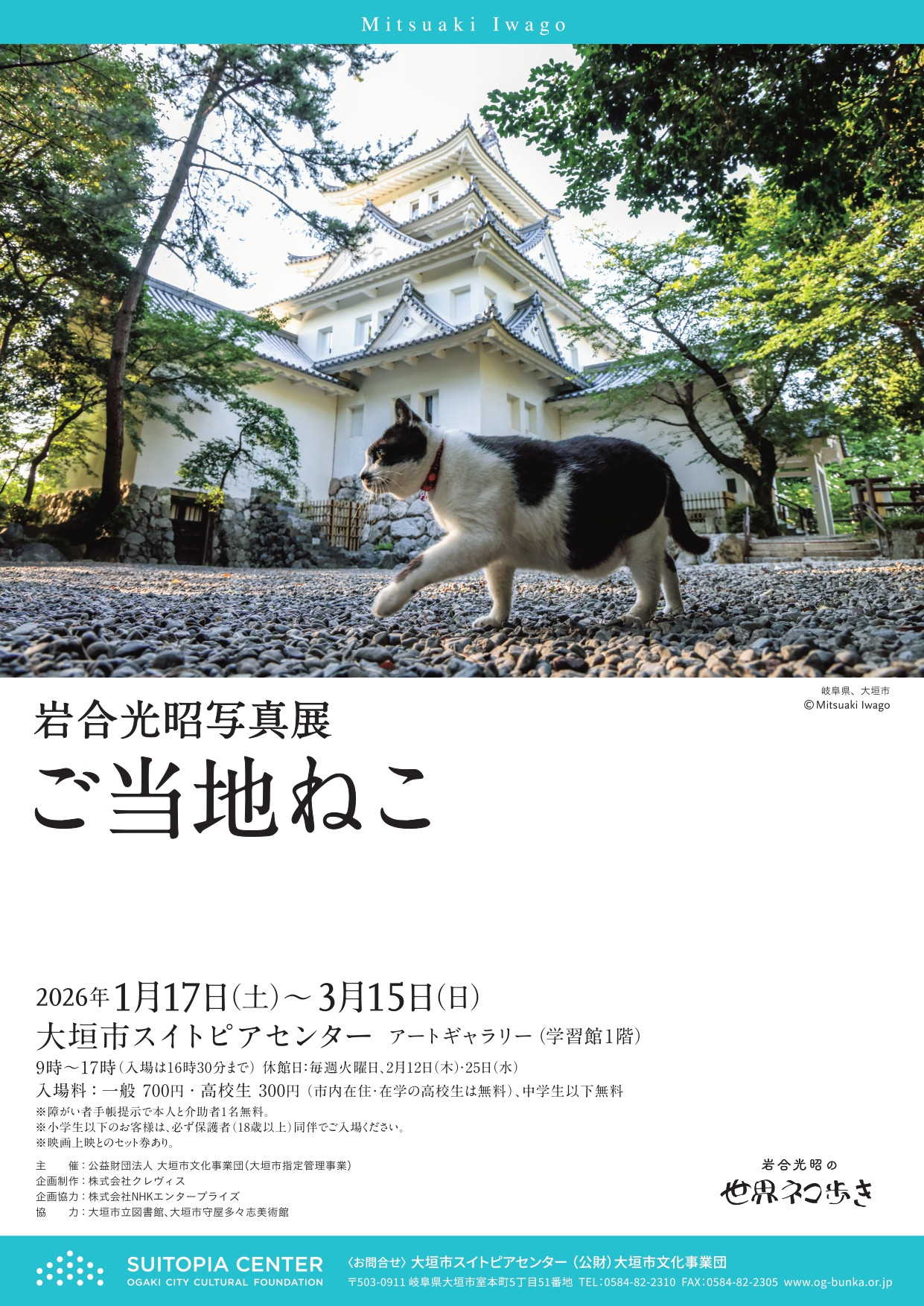 岩合光昭写真展　ご当地ねこ：猫咪与日本风土的温柔邂逅