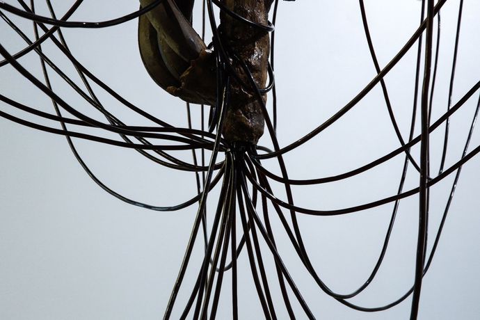 Daniel Bernal《Fluid Roots》：雕塑与身份的诗意交织