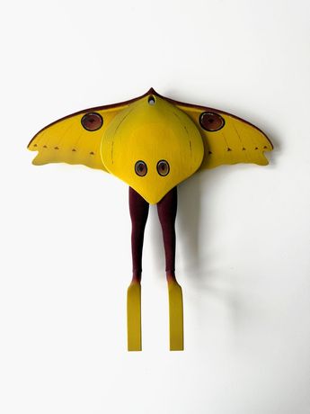 动物与混合生物群展《Common Ground》：探索人与自然的共生与变形