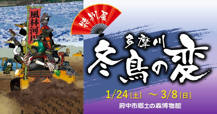 多摩川冬鸟的变迁：探寻生态与城市的交汇