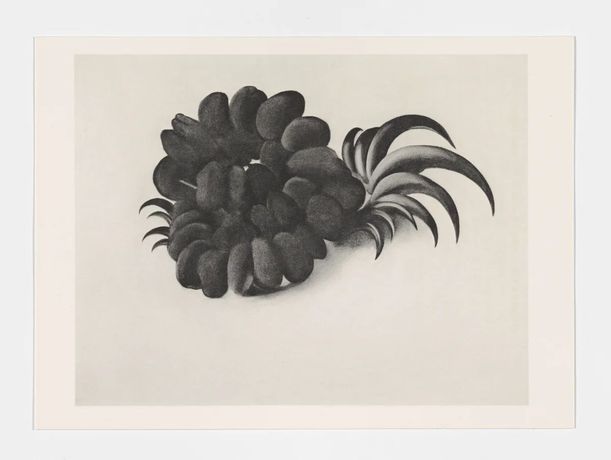 Georgia O'Keeffe《Memories of Drawings》：美国现代主义女性艺术家的绘画记忆