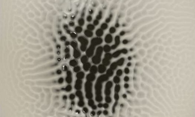 梅赛德斯·皮米恩托《Una cerca que és un tempteig》：一场物质与时间的缓慢对话