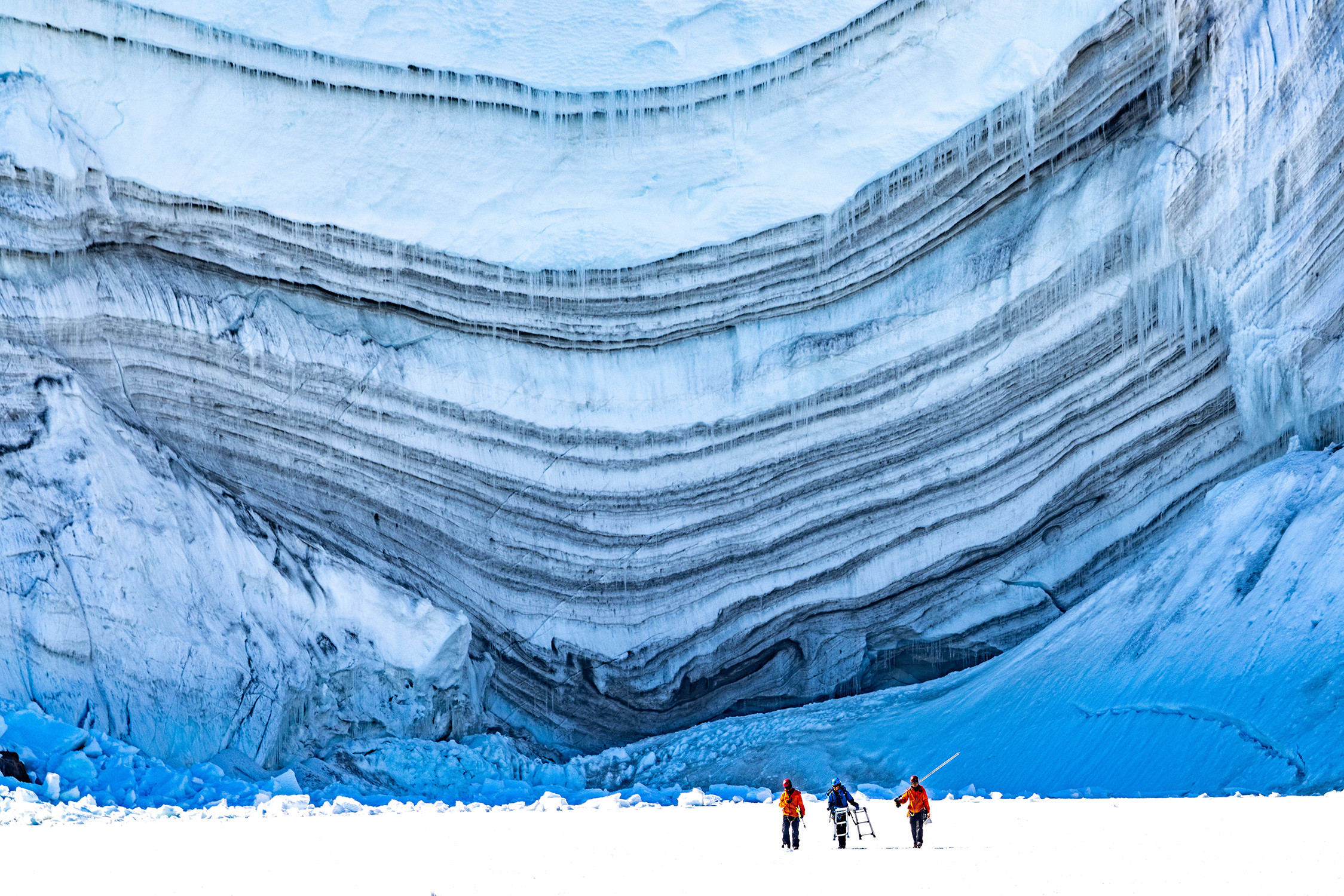 南极观测与探索|《大南極展》:纪念日本南极观测70周年的沉浸式科学探险