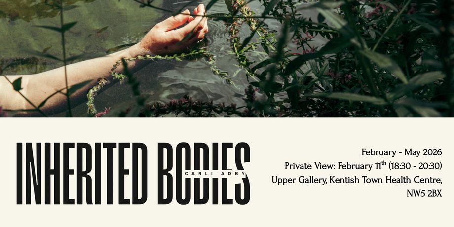 Carli Adby《Inherited Bodies》:一场关于女性健康、身体与继承的半回顾展