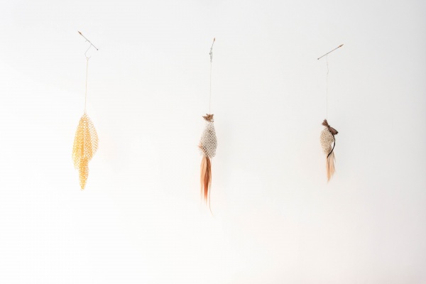 Agustina Fioretti《Bayos negros dormidos》:异种未来与生命变形记