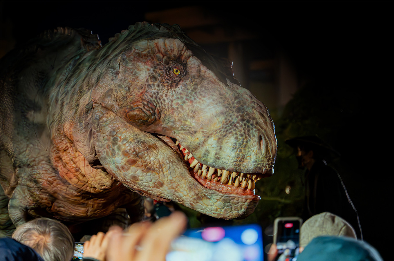 沉浸式恐龙艺术体验｜《DINOSAUR RUNWAY》：唤醒成人的远古好奇心