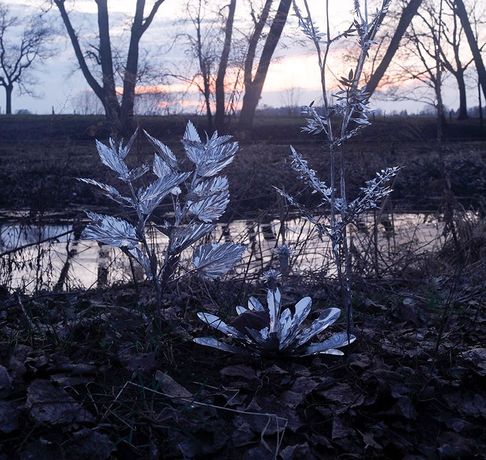 光谷貴彦《Where Shadow Fails》:在失却阴影的铝制花园中,重新凝视生命与存在的边界