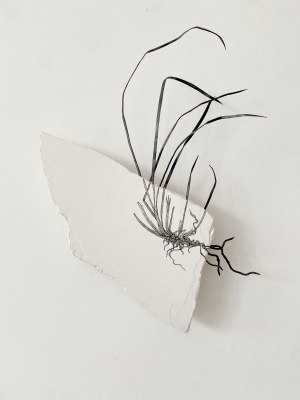 克里斯蒂娜·阿尔莫多瓦《Hacer y deshacerse》：一场关于物质、时间与科学思辨的艺术对话