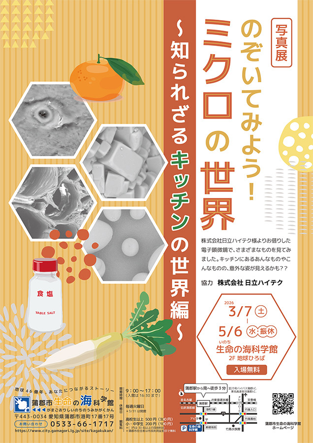 微观世界探索 《のぞいてみよう!ミクロの世界 〜知られざるキッチンの世界編〜》:一场揭秘厨房日常物品隐藏面貌的科学影像展