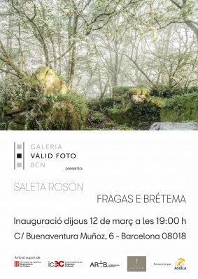 Saleta Rosón Cedrón 《Fragas e brétema》:一场关于森林与薄雾的诗意凝视