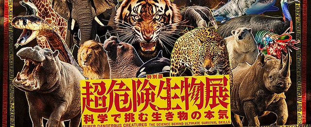 自然科普|《超危险生物展:科学探索生物的生存技能》:一场揭秘自然界“必杀技”的科学探险