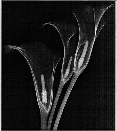 James Barrett《Reality - Photo Exhibition》:探索人与自然连接的视觉诗篇