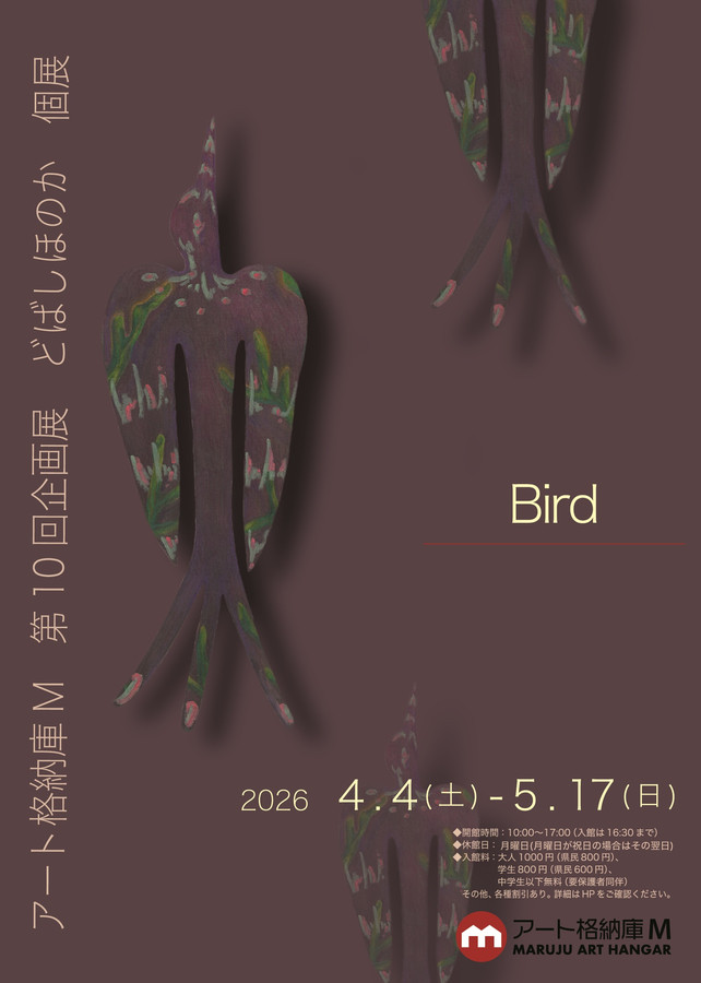 どばしほのか 《Bird》:一场穿梭于现实与幻想的沉浸之旅