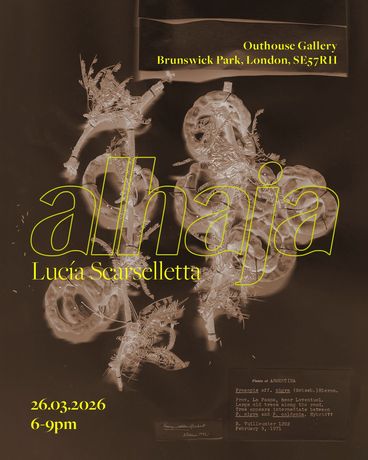 Lucía Scarselletta 《Alhaja》：一次关于高乔编织工艺与后人类主义伦理的探索