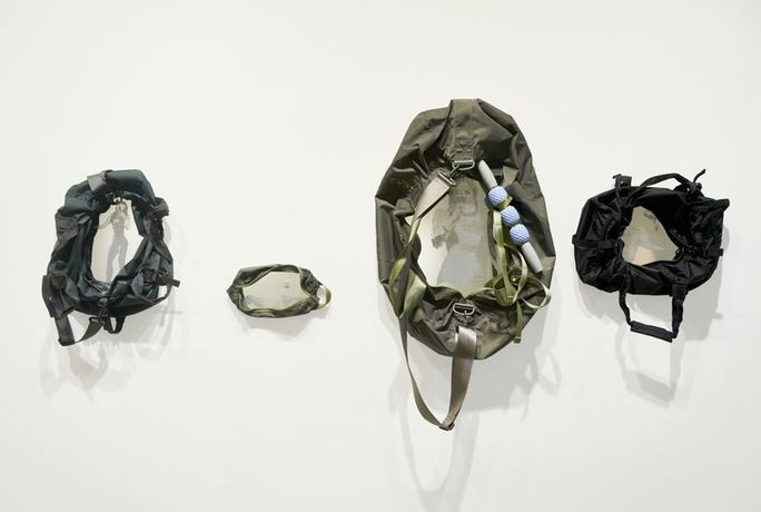 Qishan Li 《Between Skin and Bark》：一场探讨身体、自然与记忆的跨媒介对话