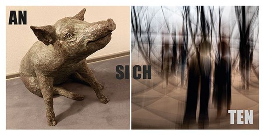 Maja Smoltczyk与Sabine Winnemuth《Ansichten》:雕塑与摄影的双重视角