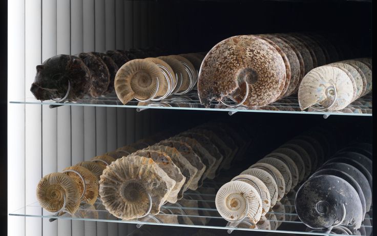 Julian Charrière 与 Antonio Canova 的《Spiral Economy》：一场关于物质与时间的对话