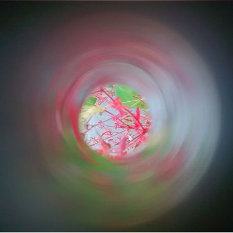 混合媒介展览《Microverse》：巴比肯花园的微观宇宙
