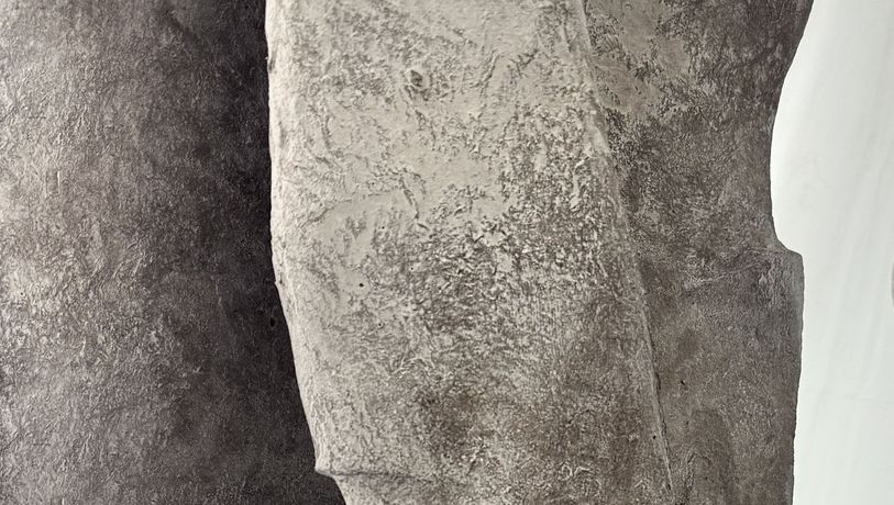 Carolina Aguirre《It murmurs》:一场关于身体、记忆与自然的沉浸式低语