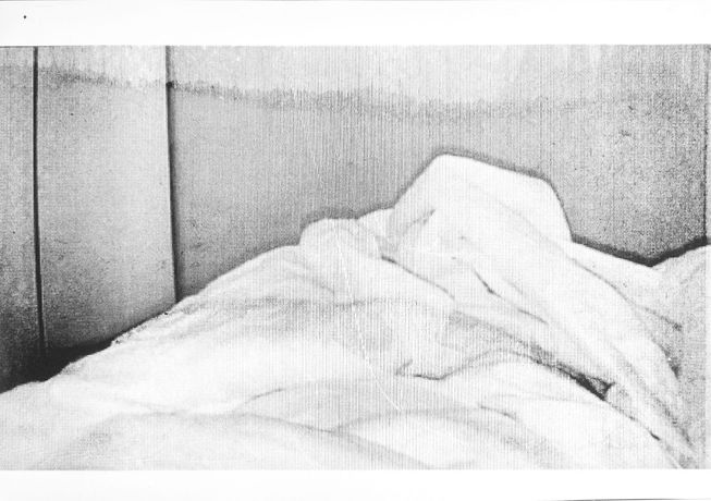 Hanna Stiegeler《Brutes des nuits》:Sweetwater画廊展出