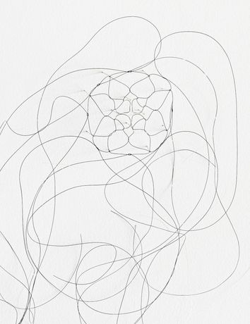 Christiane Löhr《Soffuso》:一场以有机材料编织的雕塑诗篇