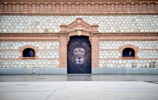 摄影师Estela de Castro《The Animals》：马德里Matadero Madrid大型立面摄影展