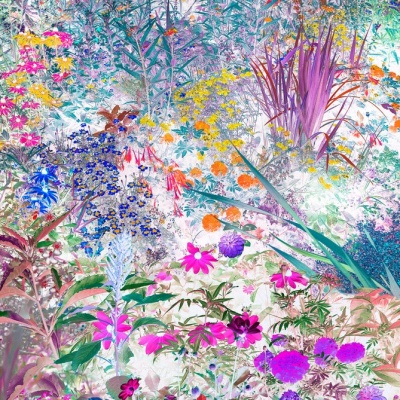 Jose Quintanilla《El jardín revelado》：以印象派之眼重塑摄影边界
