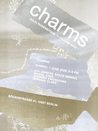 Julia Rosenstock《Charms》:一场关于阶级与价值的展览