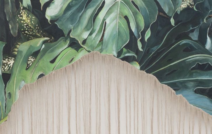 Nathan Peter《Schaufenster #11 (Monstera)》:在柏林艺术协会橱窗中探索自然的持续转化