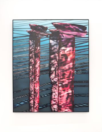 Lars Fischer|《Ferrohaze - a small extract of a planetary world》:数字放大与工业骨架的绘画勘探