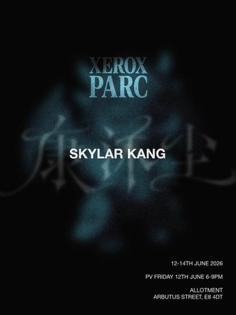 Skylar Kang 个展《Xerox Parc》：当技术成为感知的框架
