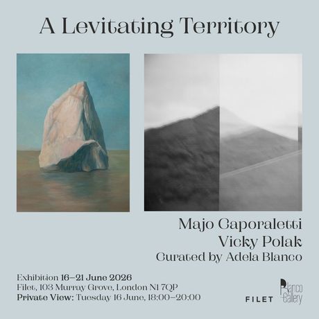 拉丁美洲当代艺术《A Levitating Territory》：阿根廷艺术家双人展在Filet Space开幕