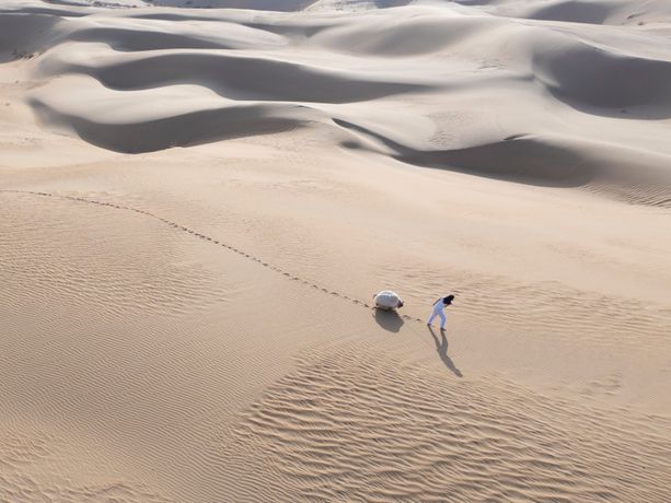 当代群展《Fluid Architectures – Poetics of the Self》:一场关于身份流动性的沉浸式装置与表演