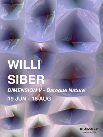Willi Siber: Dimension V - Baroque Nature：一场关于物质与感知的巴洛克自然之旅