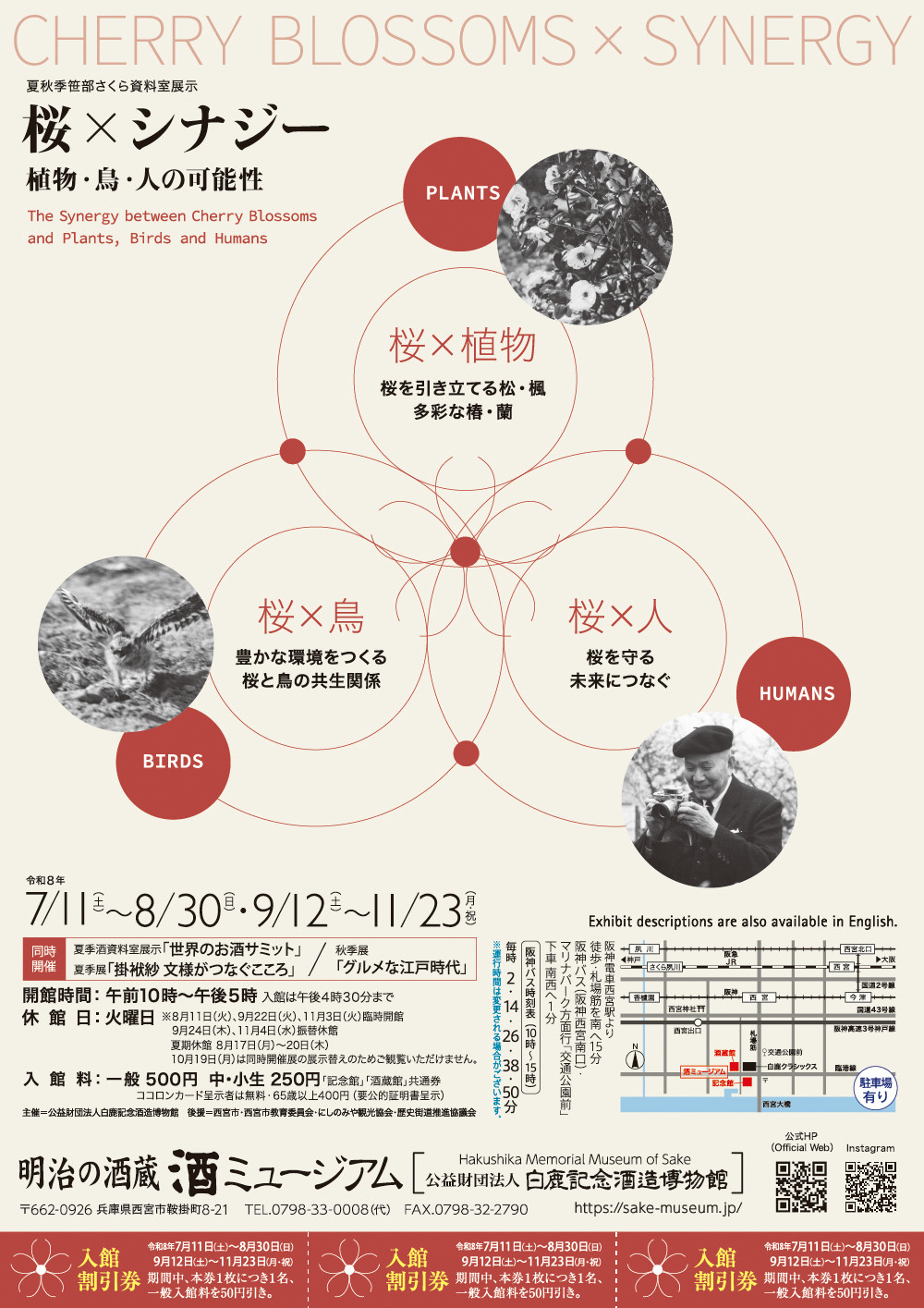 笹部新太郎《樱花×协同效应：植物、鸟类与人类的可能性》：毕生致力于樱花保护的多角度研究