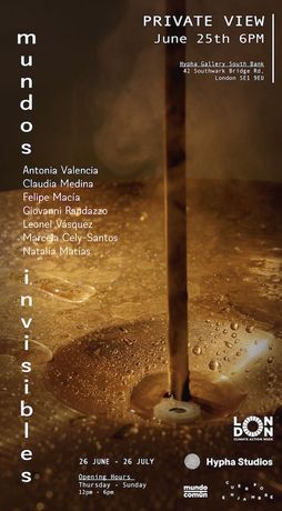 水与声音的共生艺术《Resonant Fermentation Assemblages》：水作为合作者的深度聆听装置