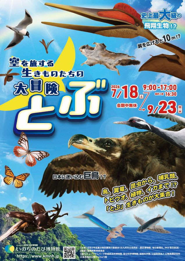 飞行生物《飞翔:空中旅行生物的大冒险》:日本最大级飞行生物展览,标本与模型齐聚