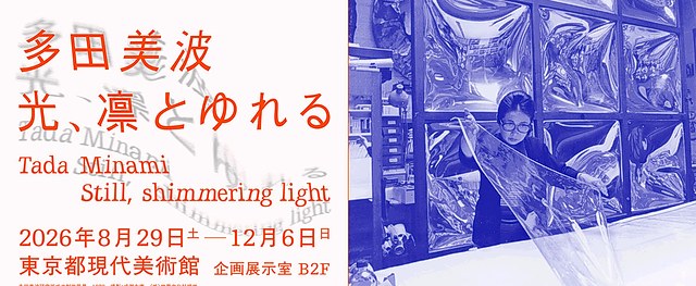 多田美波:光、凛然摇曳