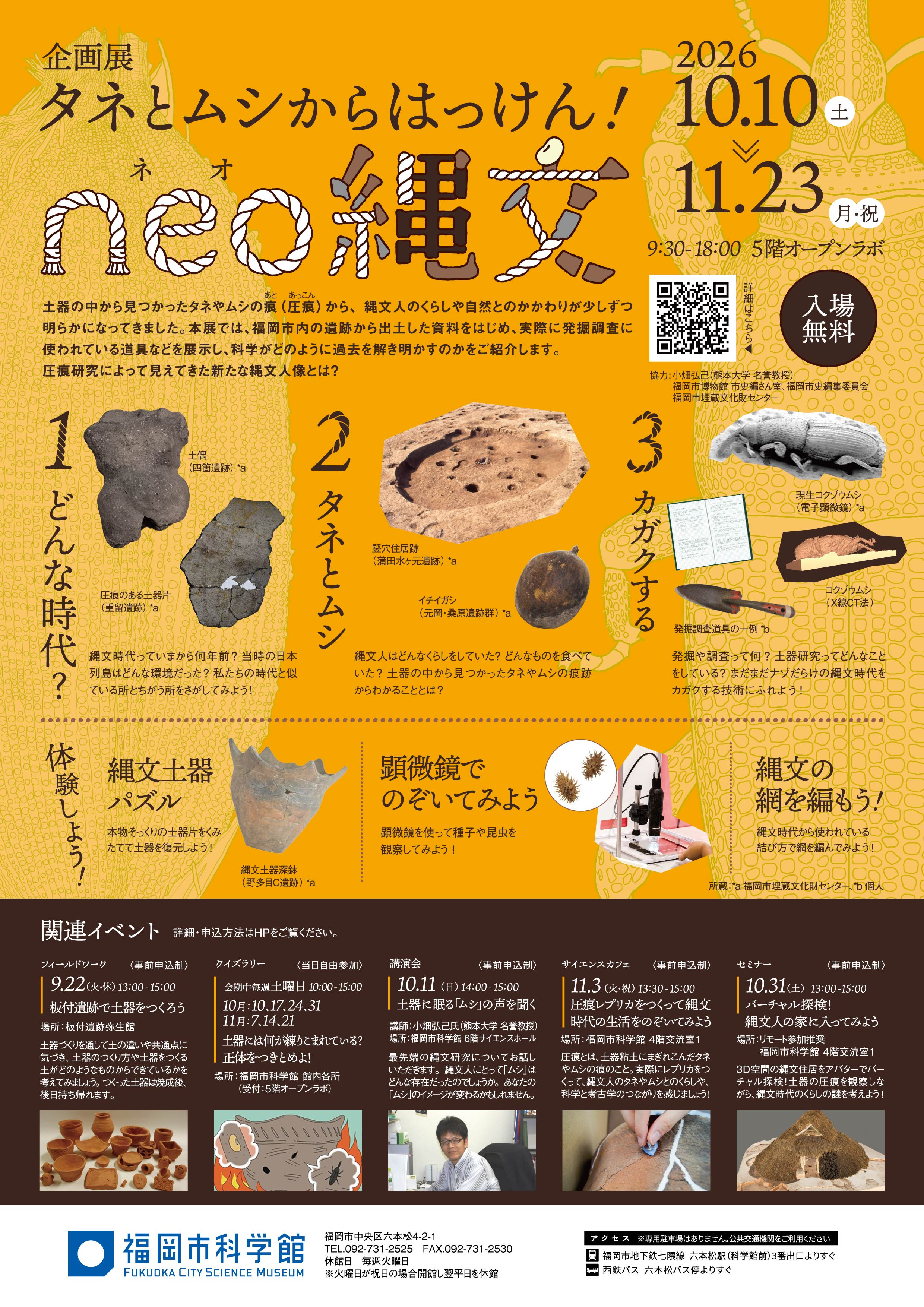 从种子与昆虫中发掘!新绳文:科学揭秘古代自然互动