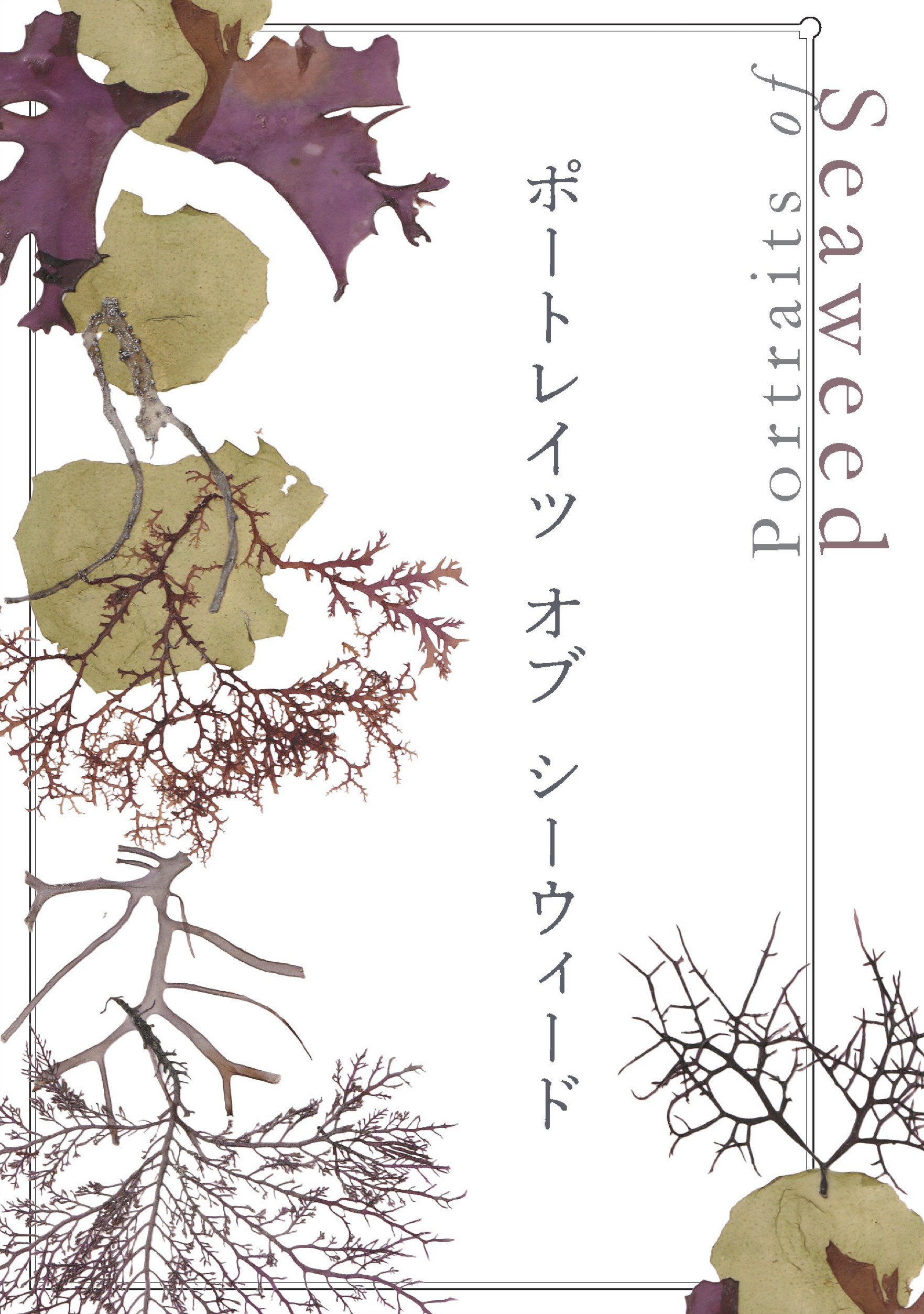 栗又弥江子海藻作品展|Portraits of Seaweed:探索海藻与金箔交织的自然之美