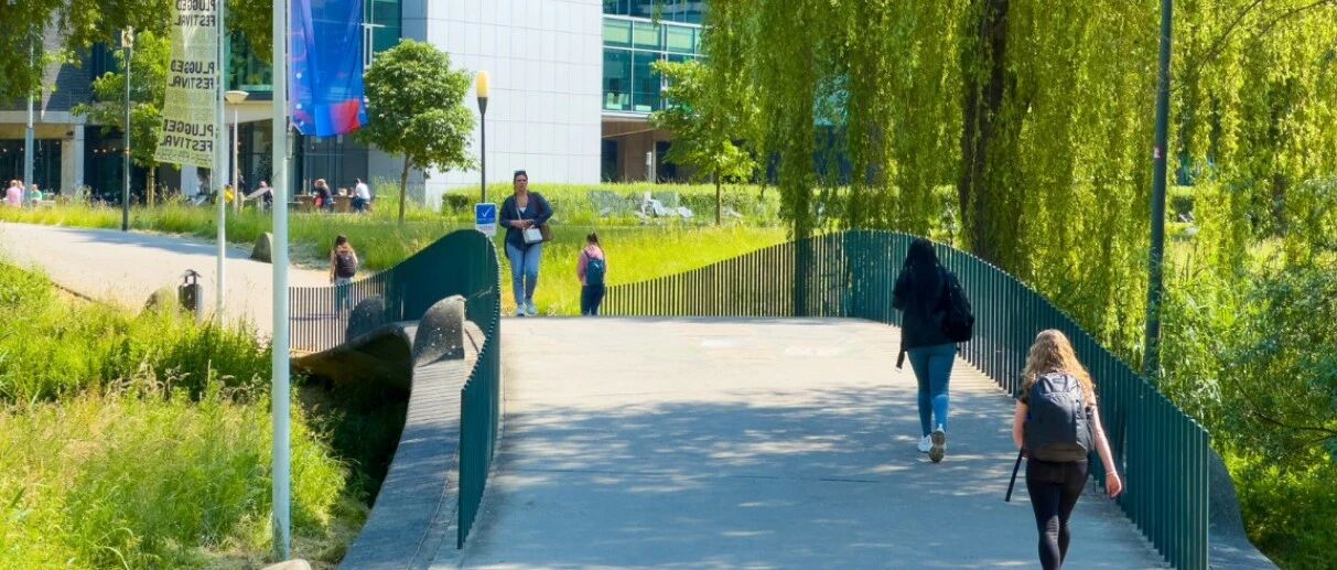 十年来首降!荷兰高校国际学生人数减少,政府“去国际化”见效?