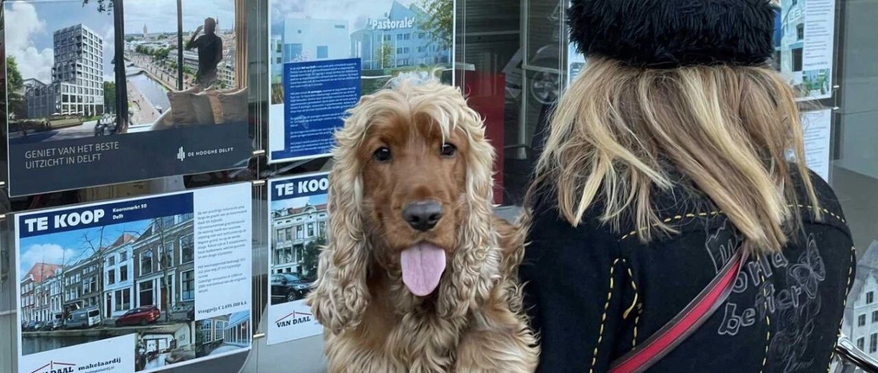 荷兰房产市场|税收压力下房东撤退,未来房价与租房趋势全解读