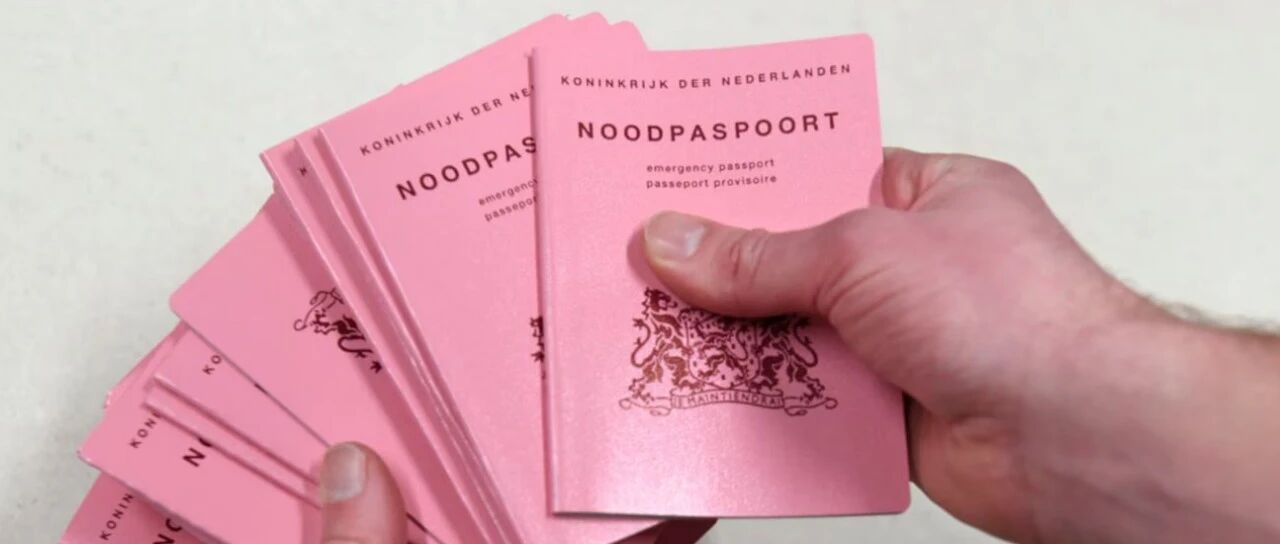 荷兰护照临时办理与火车票价上涨|最新出行政策与实用信息全解读