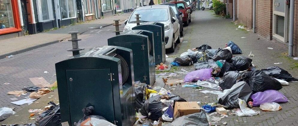 荷兰垃圾鼠患危机：城市垃圾泛滥，居民高额缴费却难享清洁环境