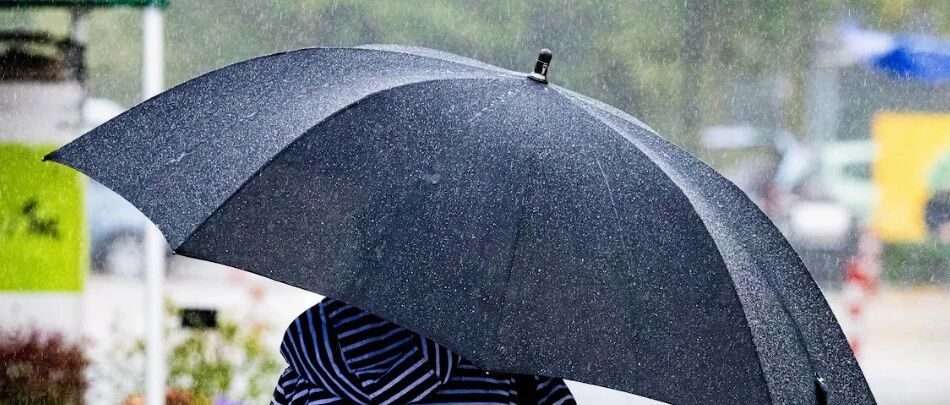 荷兰11月开局:雷雨+阵风齐上阵!南线列车停运,铁路事故致5人受伤!医保涨价预警+圣尼古拉斯、圣诞节热度升温!